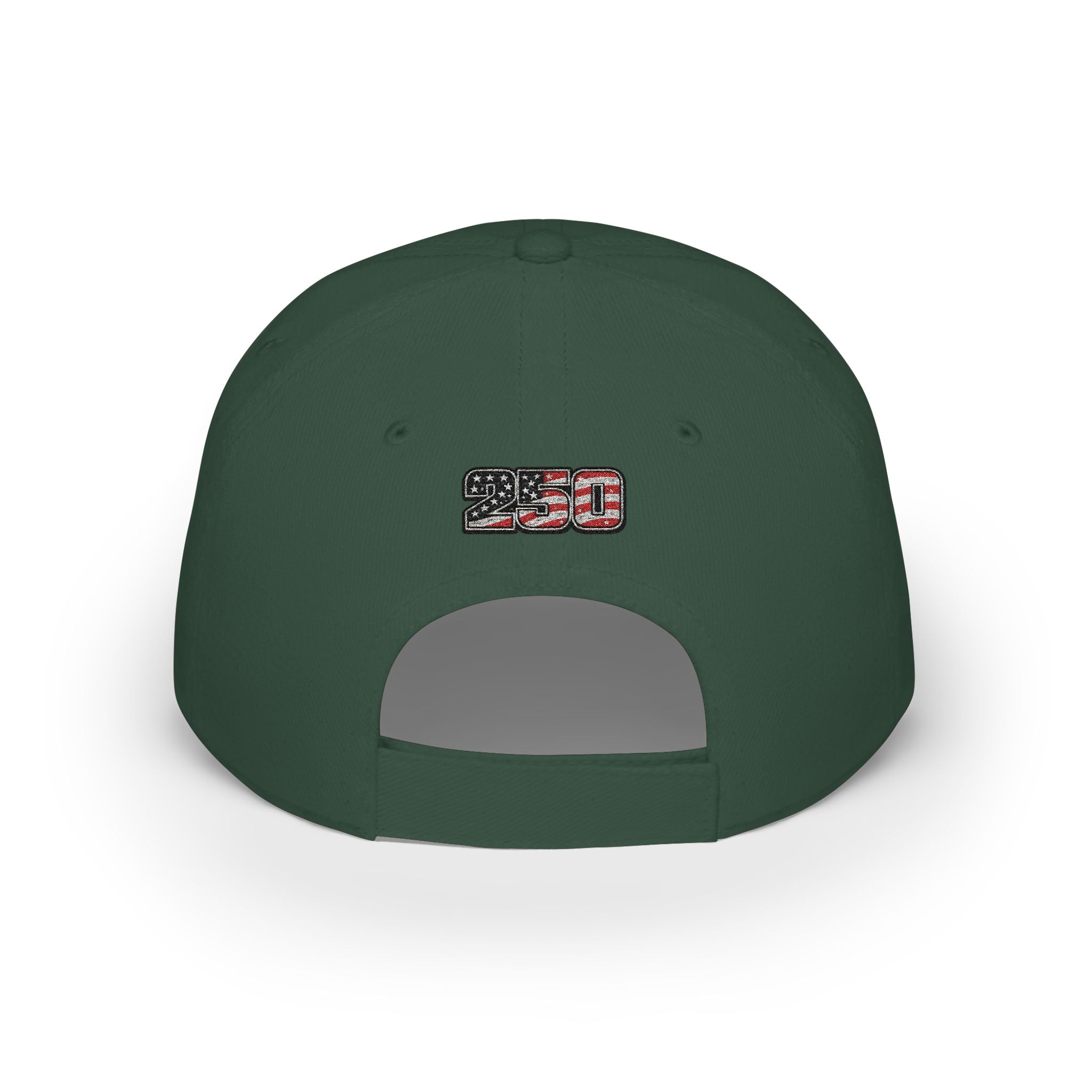"American Pinner" baseball cap | Patriotic embroidered hat